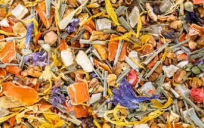 La préparation du thé